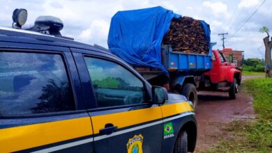 Todo o material transportado não possuía documentação necessária para o transporte
