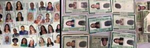 Documentos falsos apreendidos