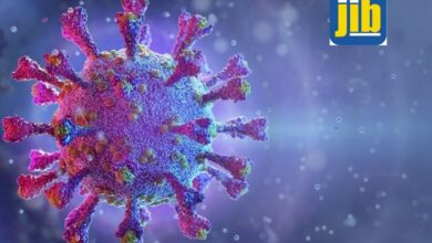 Maranhão registra 597 casos e 39 mortes por Covid-19 em 24 horas