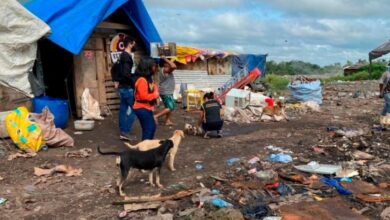 ONG faz campanha para castração de animais abandonados em lixão de Imperatriz