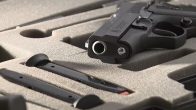 Pedido de vista adia julgamento no Supremo de ação que busca restringir a posse de armas