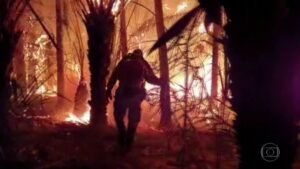 Pior seca dos últimos 50 anos no Pantanal foi causada por fenômeno meteorológico, diz pesquisa