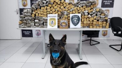 Polícia apreende 200 kg de maconha na BR-135 no Maranhão