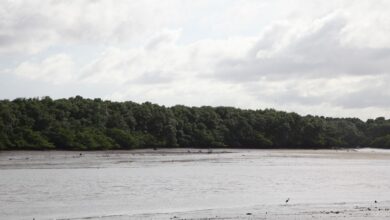 SEMA promove I Semana Estadual da Água no Maranhão