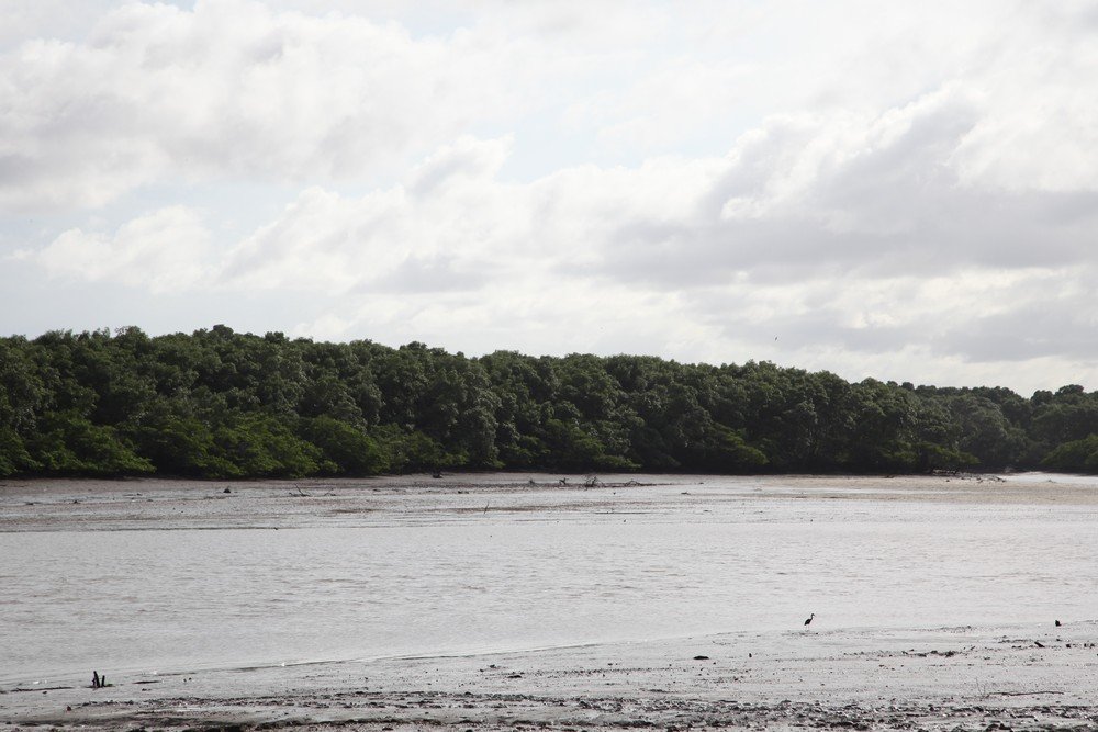 SEMA promove I Semana Estadual da Água no Maranhão