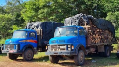 Carga ilegal de madeira é apreendida em dois caminhões na BR-316, em Caxias