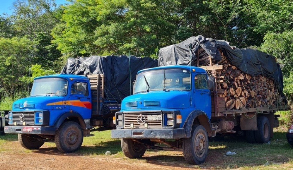 Carga ilegal de madeira é apreendida em dois caminhões na BR-316, em Caxias