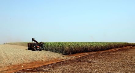 IBGE prevê safra recorde de 265 milhões de toneladas para 2021