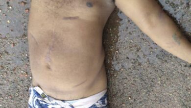 Corpo encontra-se no IML sem identificação