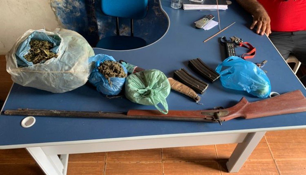 Polícia encontra plantação de maconha entre pés de milho e feijão no Maranhão