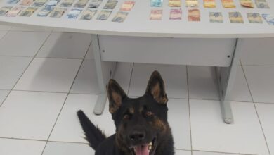 Senarc no combate ao trafico de drogas em São Luís (Foto/ PCMA)