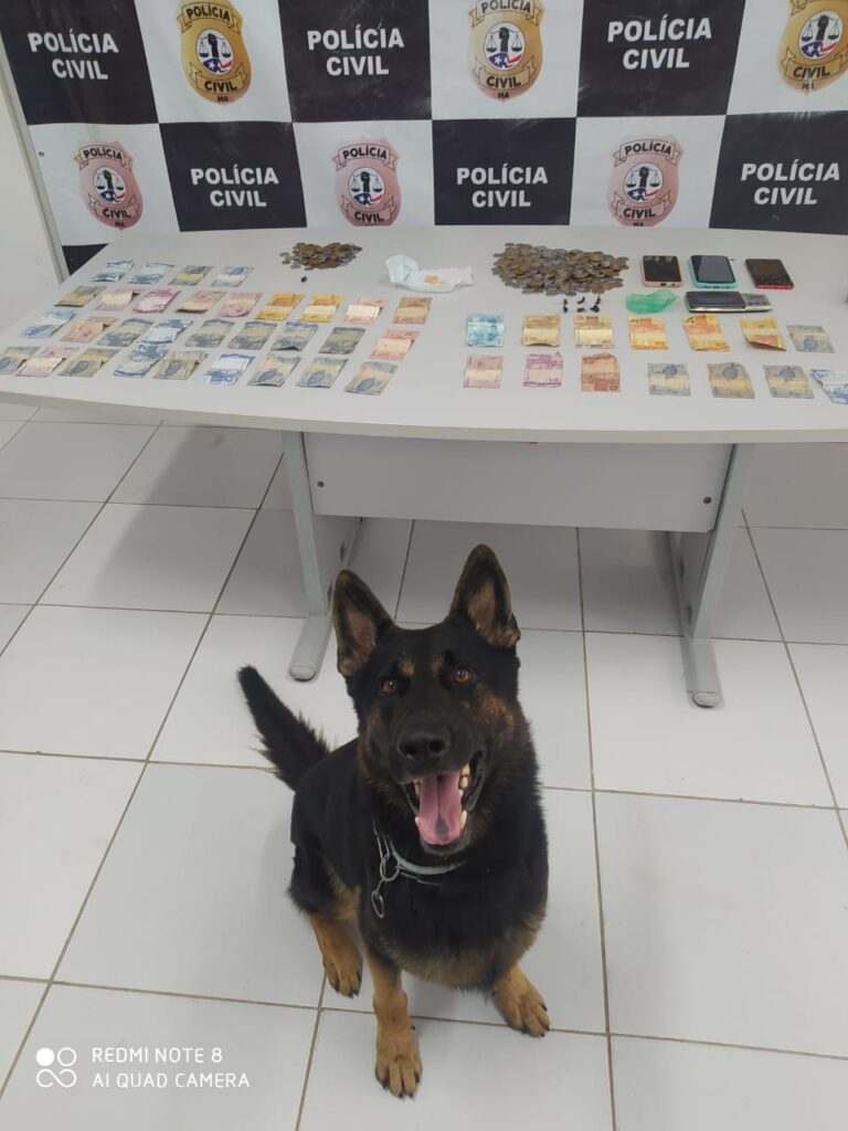 Senarc no combate ao trafico de drogas em São Luís (Foto/ PCMA)