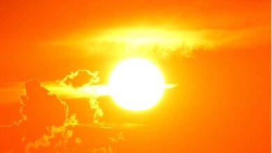 Onda de calor no Canadá já matou mais de 230 pessoas Foto: Pixabay