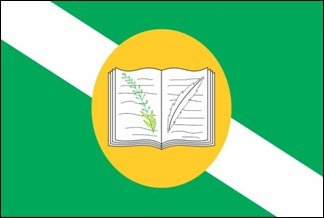 ELEIÇÕES ARARIENSES